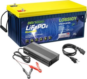 1. LOSSIGY 36V Lithium Trolling Motor Battery