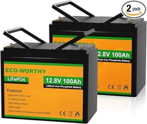 2. ECO-WORTHY 12V 200AH (2Pack 100AH) Lithium RV Battery