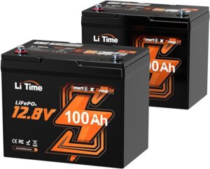 2. LiTime 12V 100Ah RV Lithium Battery