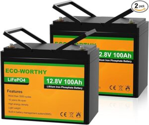 4. ECO-WORTHY 12V 200AH LiFePO4 Battery For RV