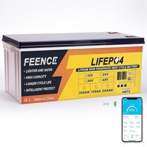 5. FEENCE 12V 200Ah LiFePO4 Lithium RV Battery