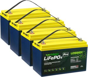 5. LOSSIGY 48V Lithium Battery(4Pack) for Solar