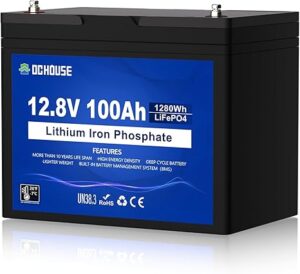 2. DC HOUSE 100AH LiFePO4 Lithium Battery