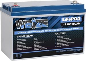 5. Weize 100Ah LiFePO4 Lithium Battery