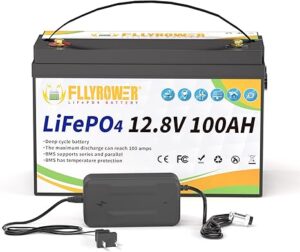 7. FLLYROWER 100Ah LiFePO4 Lithium Battery