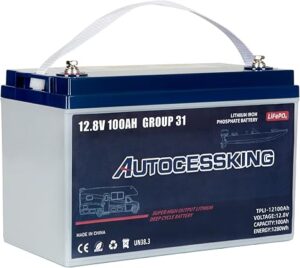 8. Autocessking 100Ah LiFePO4 Lithium Battery