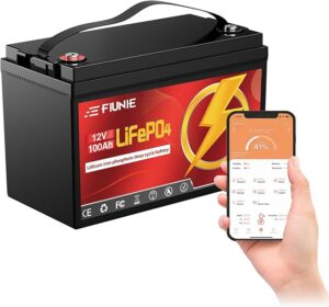 4. FIUNIE 12V 100Ah Lithium Battery for Boat