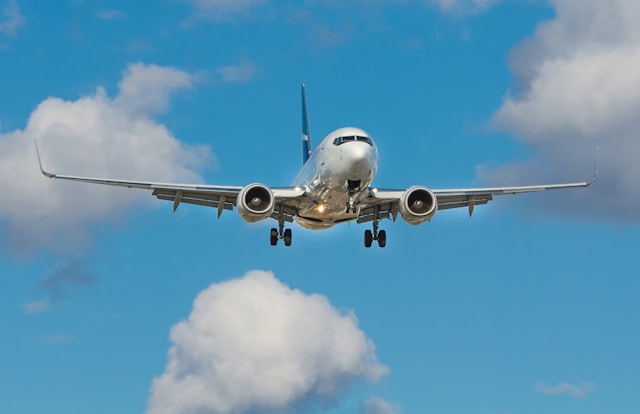 Airline and Regulatory Guidelines
