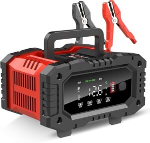 1. YONHAN 0-20A 12V/24V LiFePO4 Battery Charger